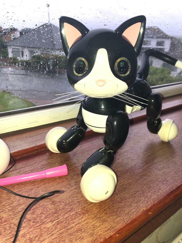 zoomer kitty accessories